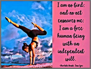 I am no bird; and no net ensnares me; I am a free human being with an independent will ↓